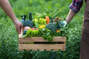 woman bringing platter to table - Google Search